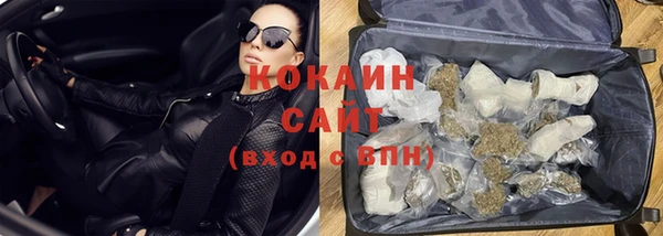 шишки Касимов