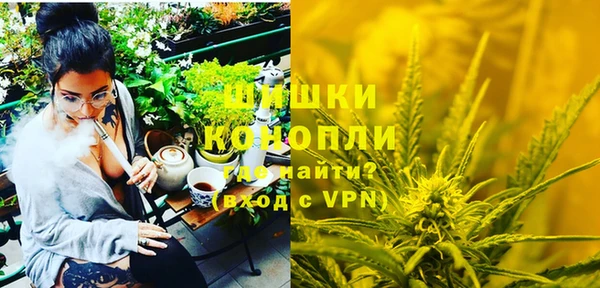 PSILOCYBIN Карталы