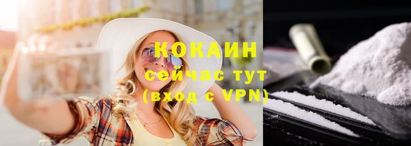 шишки Касимов