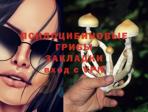 не бодяженный Карпинск
