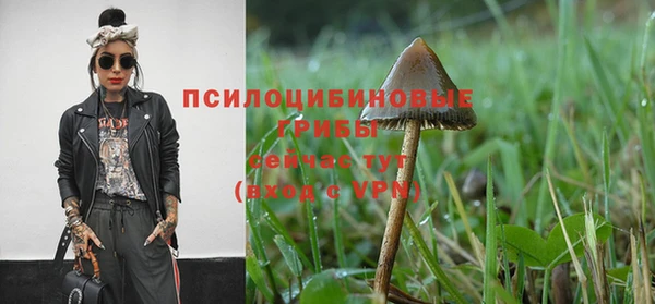 шишки Касимов
