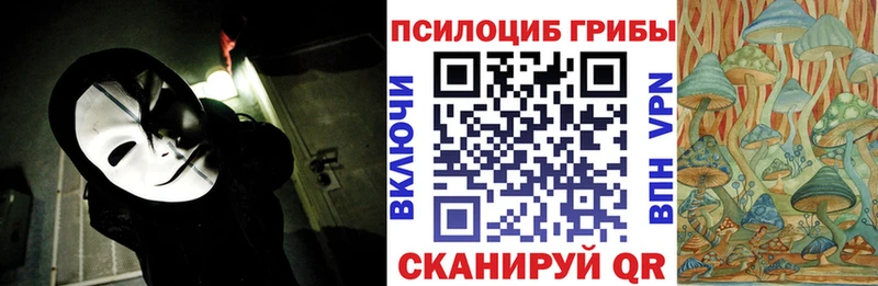 Купить  Ельня  Псилоцибиновые грибы MAGIC MUSHROOMS 